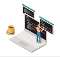 software development